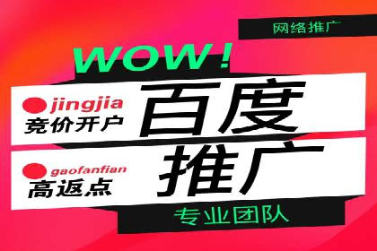 百度竞价策略解析：案例分析及优化建议